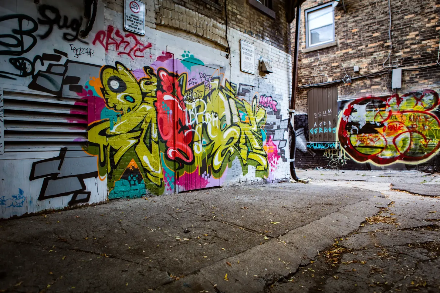 Cityscape & Street Fine-Art Photography by Blake Ferguson demonstrate vibrant graffiti through a grunge alleyway in Downtown London, Ontario, Canada.