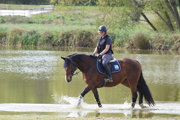 Cheval dans l'eau