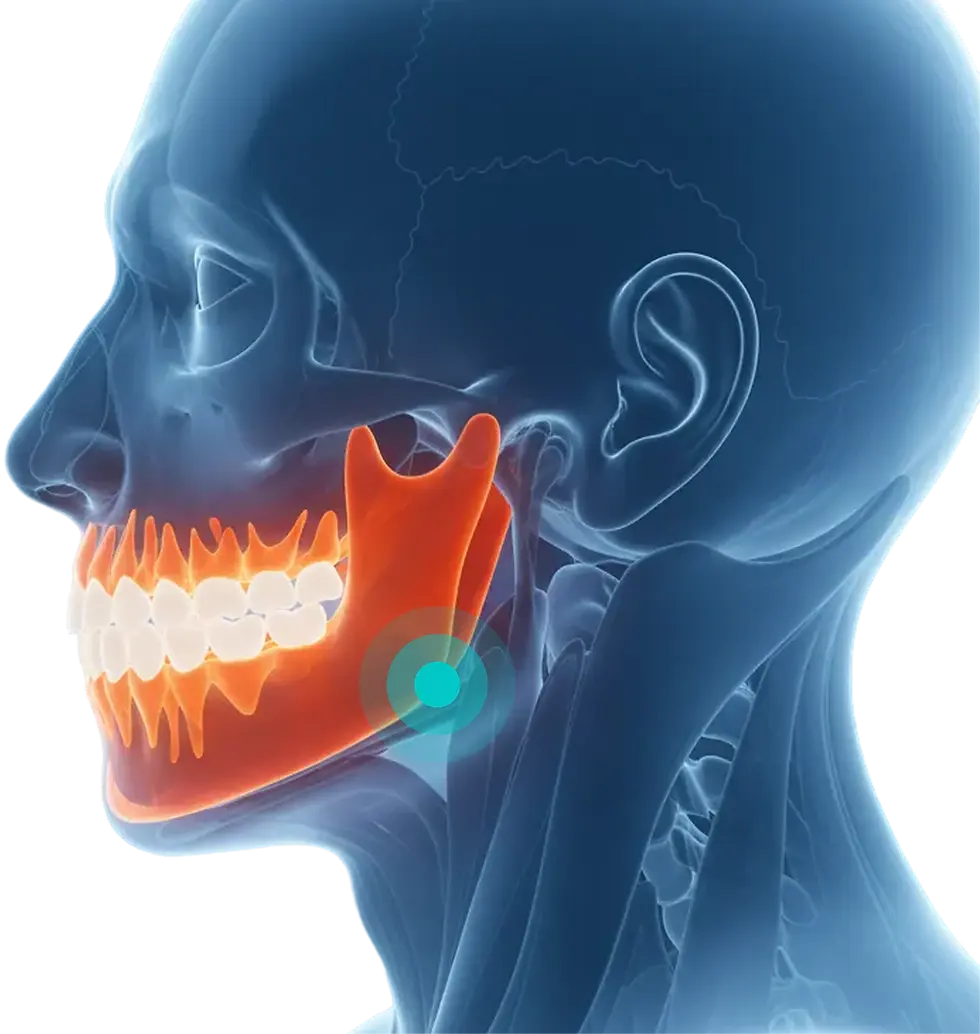 Group 1171276625 (1) (1).webp