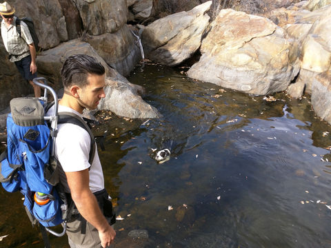 Setting Your Intentions for 2025: Embrace Nature for a Healthier You