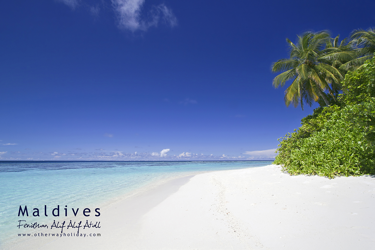 Feridhoo na Alif Alif atolu | Maledivy | other way holiday