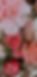 IMG_0429.jpeg