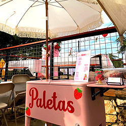 0F5F5245-C2AF-4F15-A323-ED649D30E3FB_edi