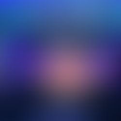 Convenção Nacional Suzano