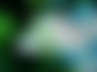 However we say it – our values matter