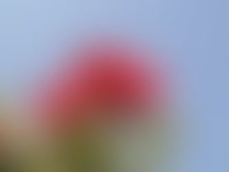 A Happy Kidsfirst Christmas