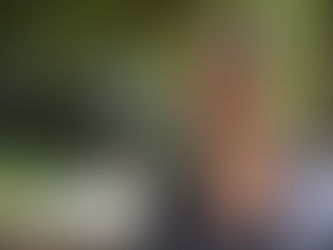 Kaiako telling our stories