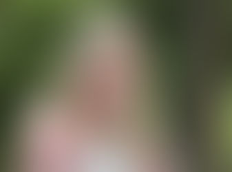 Combination of everything fills rolls at Belfast