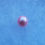 Thumbnail: Light Pink Pearl