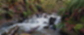 Coal Creek by Robert Russell web 2.jpg