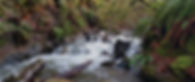 Coal Creek by Robert Russell web 2.jpg