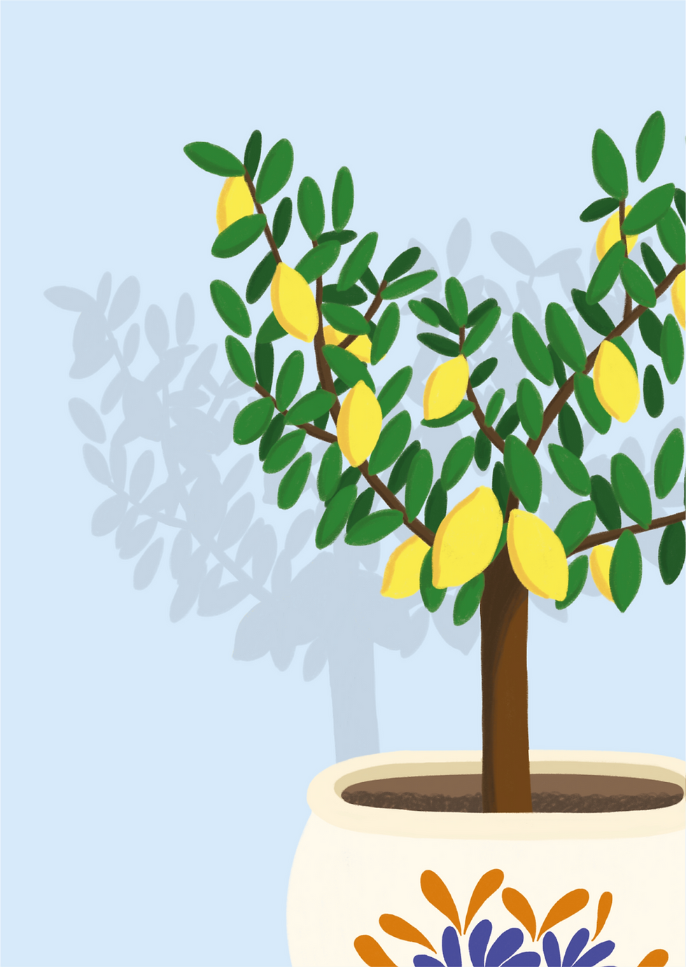 Thumbnail: Lemon tree (A4)