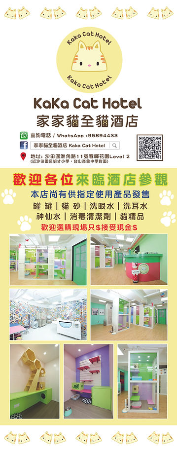 200X 80X 3pcs.jpg
