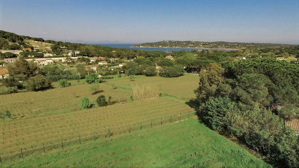 Luxury villa Jamin  www.sttropezstay.com