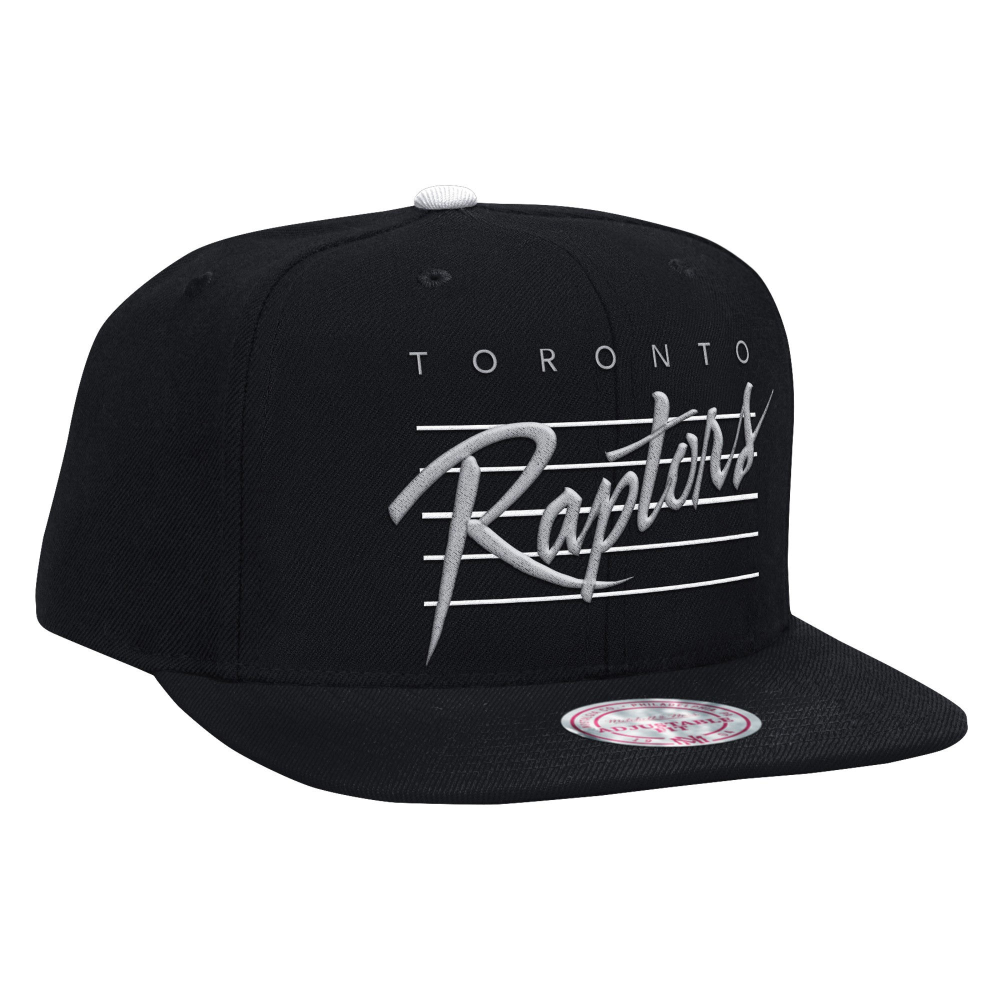 Cursive Script Cotton Snapback Toronto Raptors