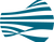 Asset 1.png