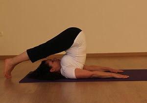 תנוחת המחרשה