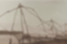 338002346_579799520772070_6661666954616074374_n_edited.jpg