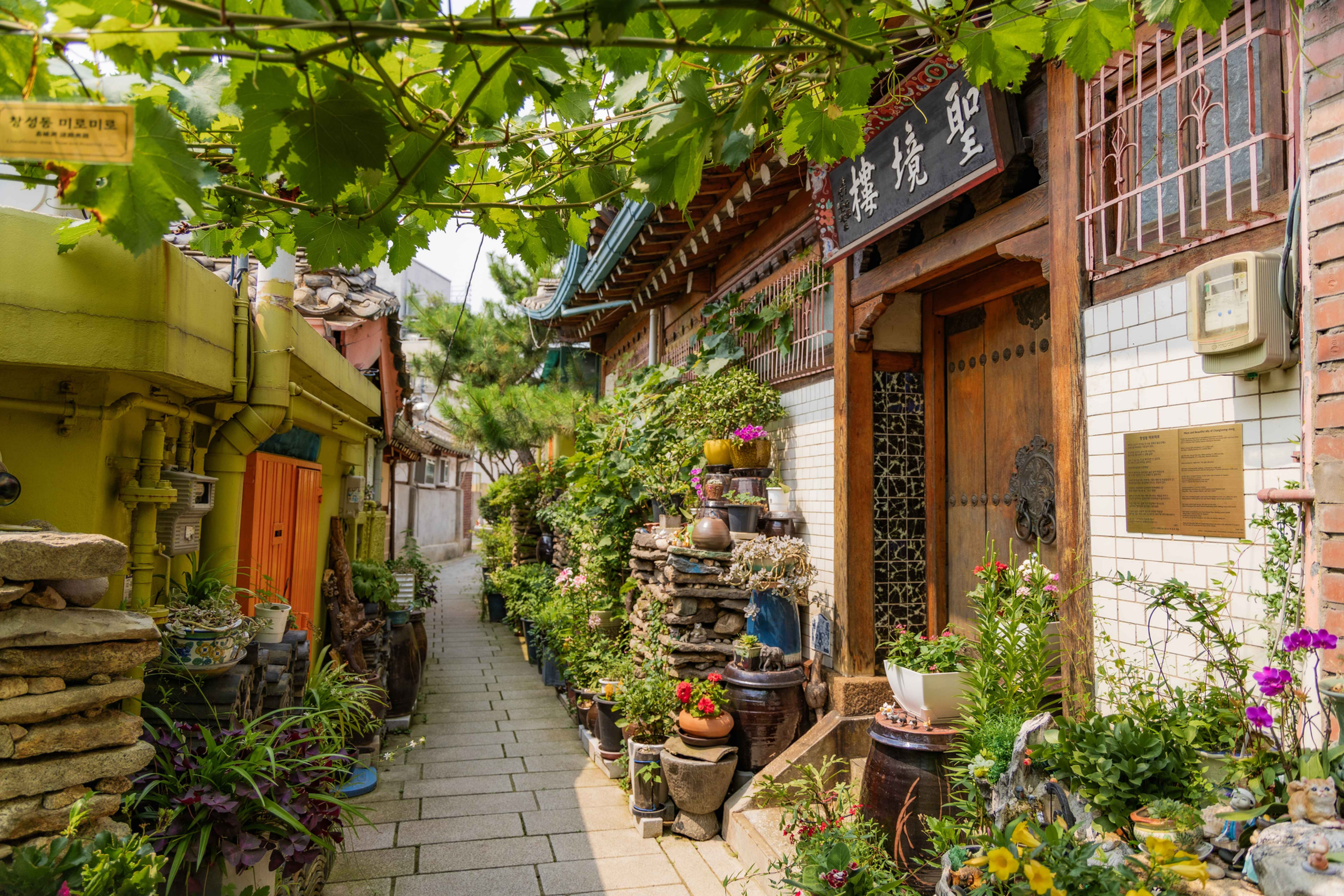 3 Days 2 Nights: Royal Seoul & Healing Soul
