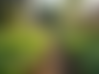 The Importance of Sustainable Living in Today's World