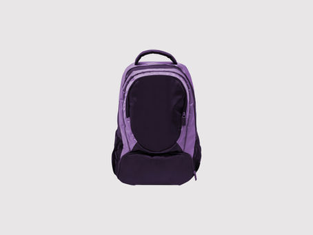 Homeschool Gym Class: A Backpack for the House or on the Road