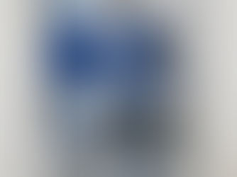 【2020年3月】春の院展・入選しました。