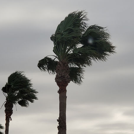 RV Park - January 15