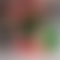 Blanco - December 31