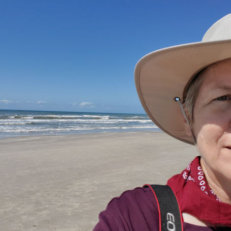 Padre Island National Seashore - February 15