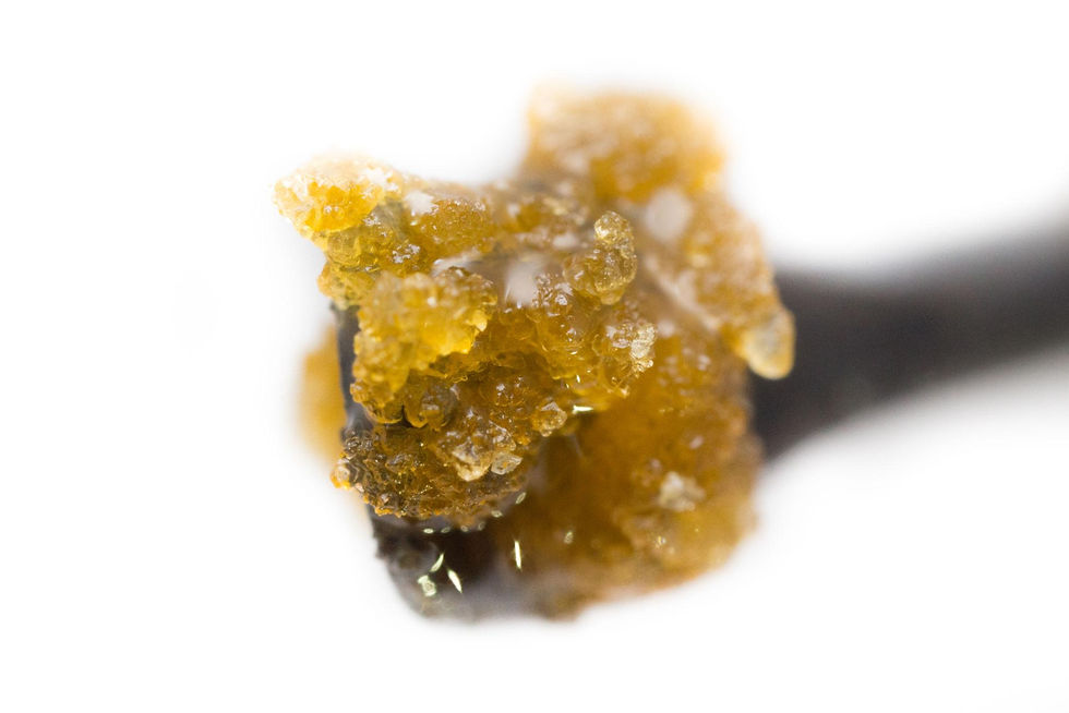 concentrate #1.jpg