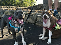 IMG_2353.jpeg