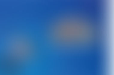 Norway's interest in electric veh