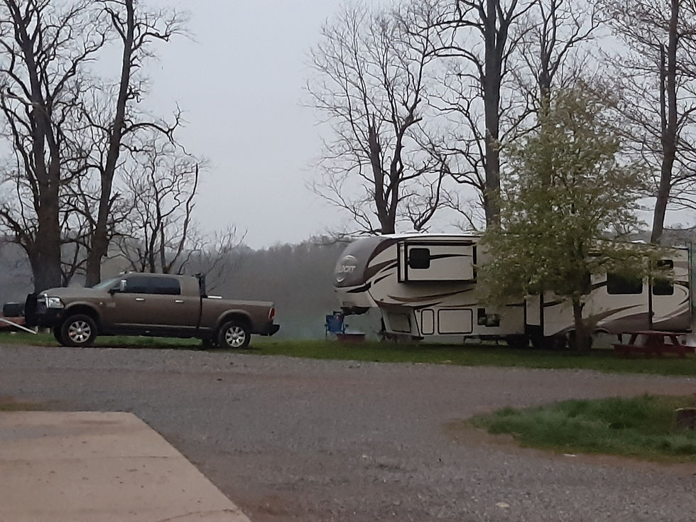 Farm Pictures bakersgoldendairy2