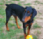 Riley