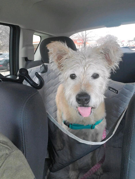 Puddin Car Ride.jpeg