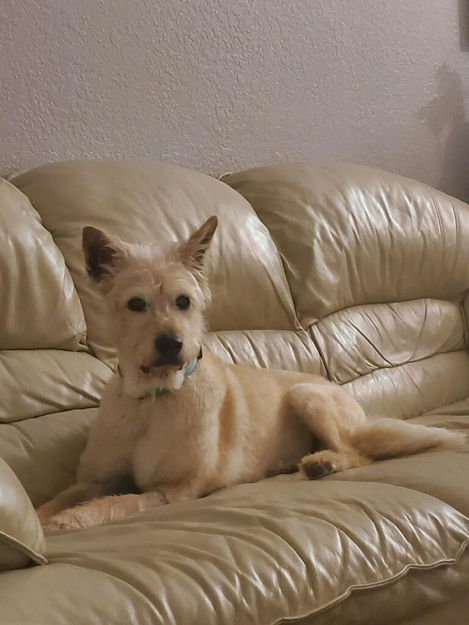 Puddin - Couch Surfing.jpeg