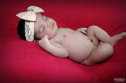 @ellenmayrafotografia