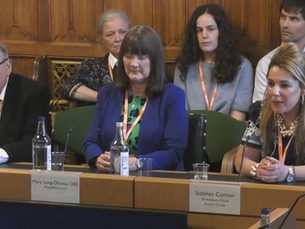 Contributions to the Environmental Audit Committee's 2025 inquiry into flood resilience