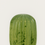 Thumbnail: Green Cactus