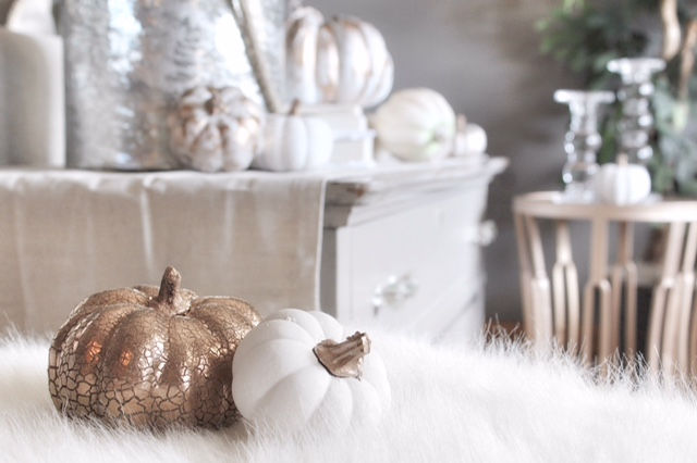 Cozy Comforts