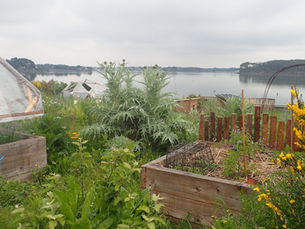 Du jardin de dictateur au jardin punk