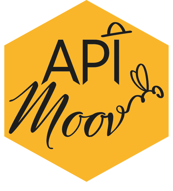 LOGO-API.gif