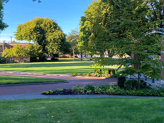 Landscaped lawn maintenance