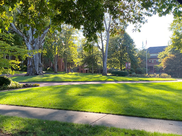 Beautifully landscaped lawn on a college campus.