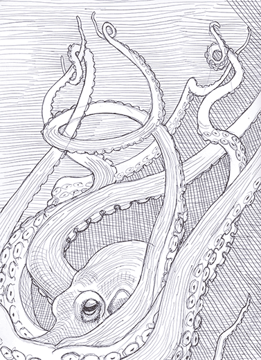 Drawing-a-squid-smallerY.gif