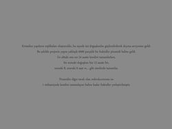 Mandelbrot Cello tr 8.jpg