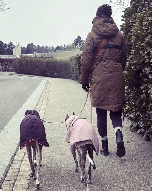 KAYALA Koppelleine zum Umhängen