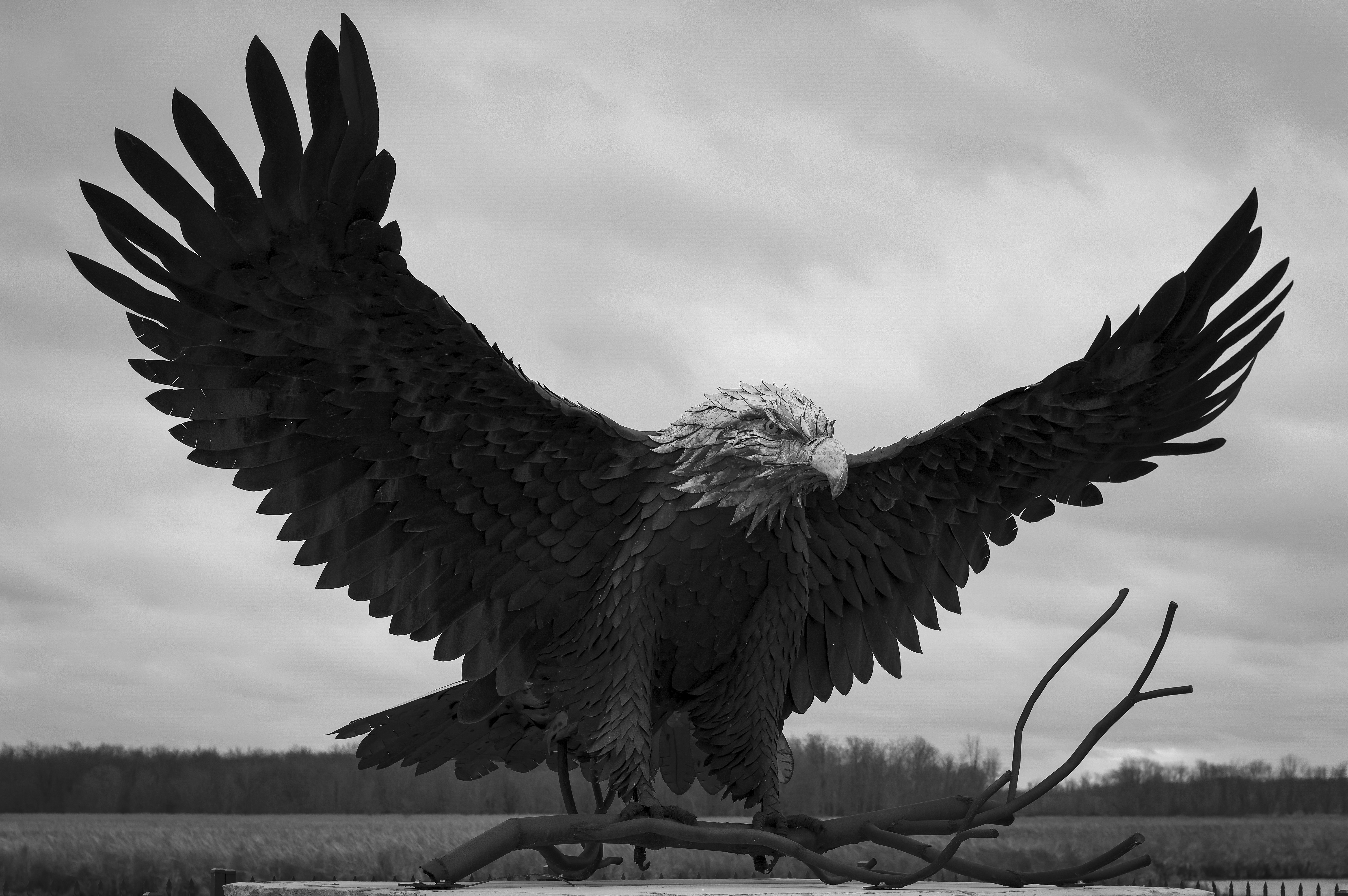 Bald Eagle Monument, Montezuma