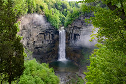 The Heart of the Finger Lakes