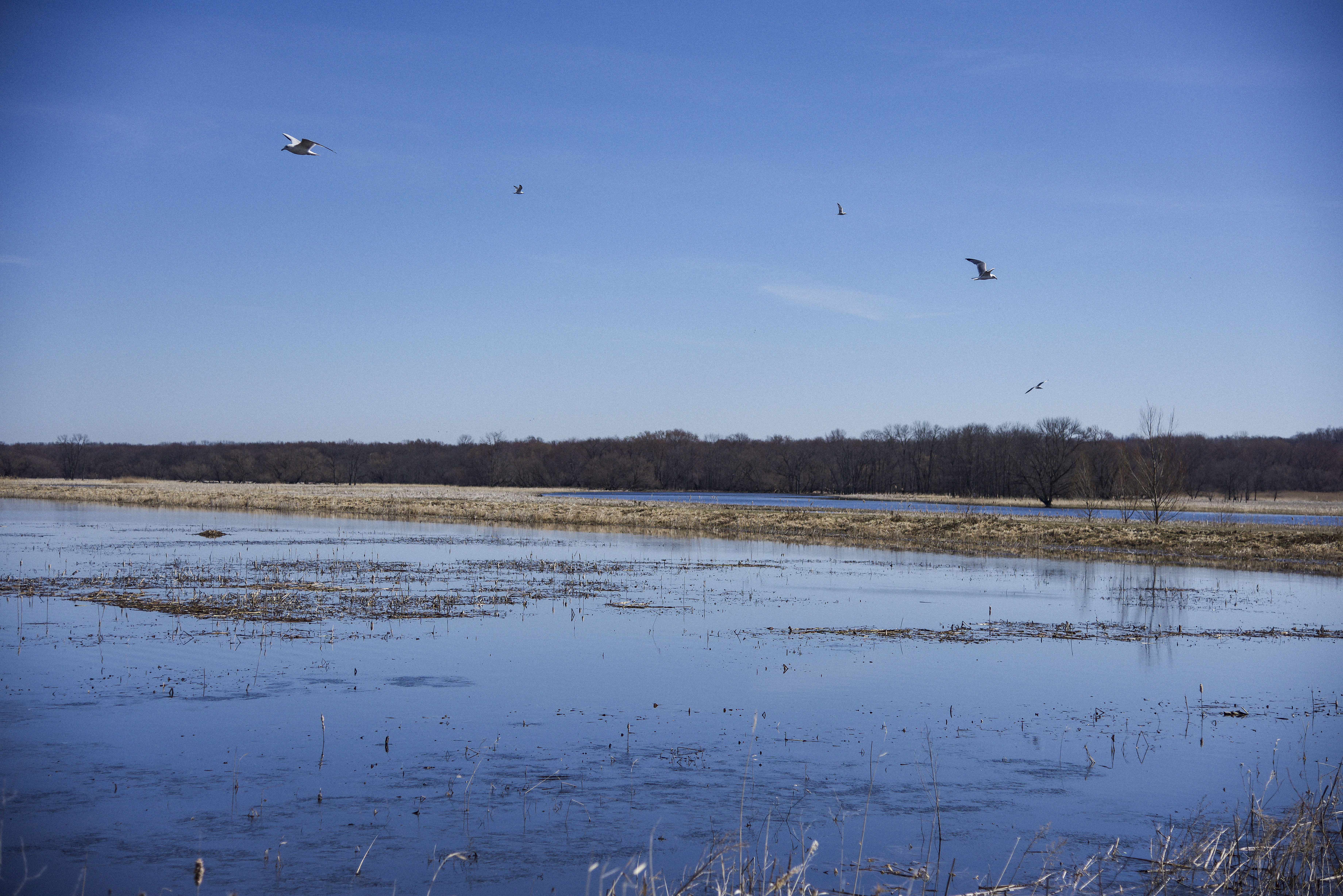 Northern Montezuma Wetlands